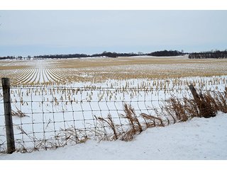 Property photo 15 - AUCTION, 206 Contiguous Acres offered in 5 Tracts